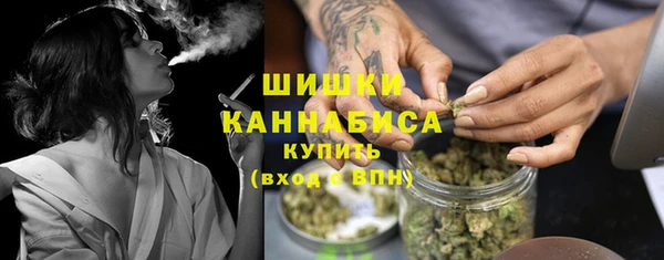 сатива Белоозёрский