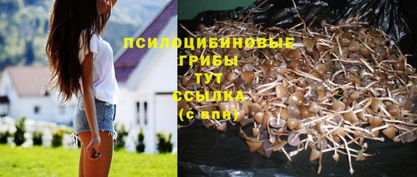 ALPHA PVP Белокуриха