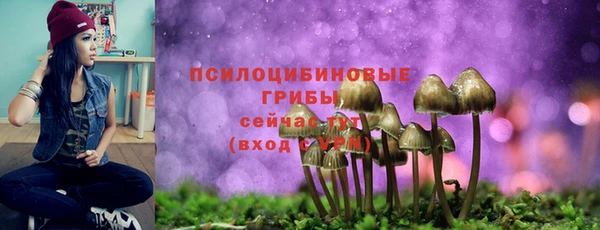 ALPHA PVP Белокуриха