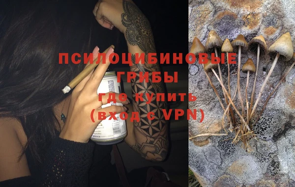 ALPHA PVP Белокуриха