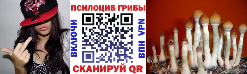 Псилоцибиновые грибы MAGIC MUSHROOMS Первомайск